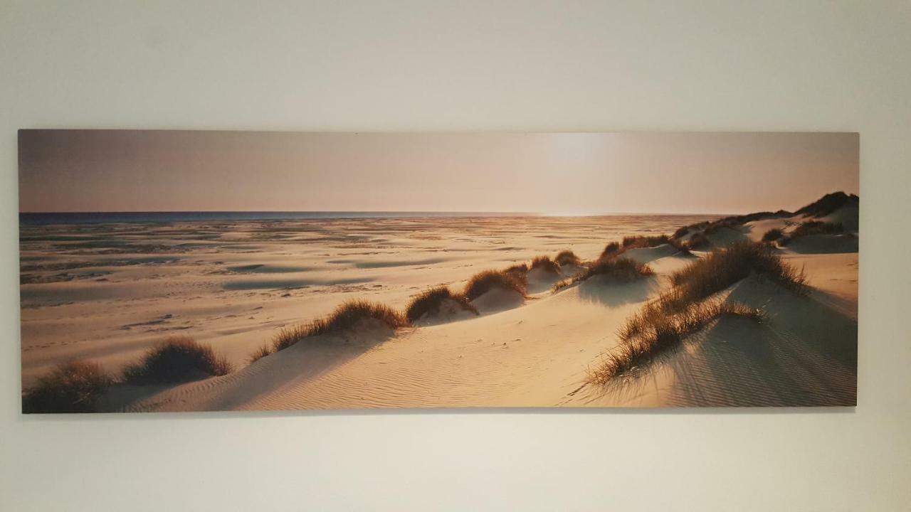 De Schelp 37 Daire Zandvoort Dış mekan fotoğraf